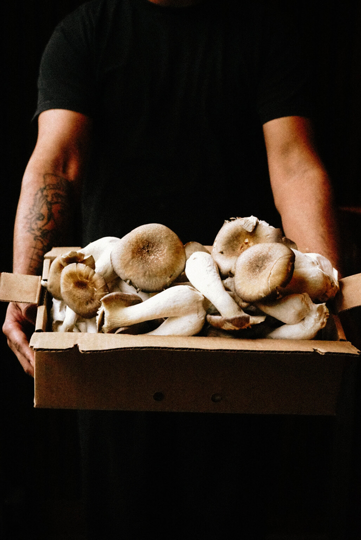 LifeCap Farms Mushrooms