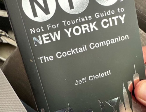 Jane Doe Featured in NFT Guide (The Cocktail Companion)
